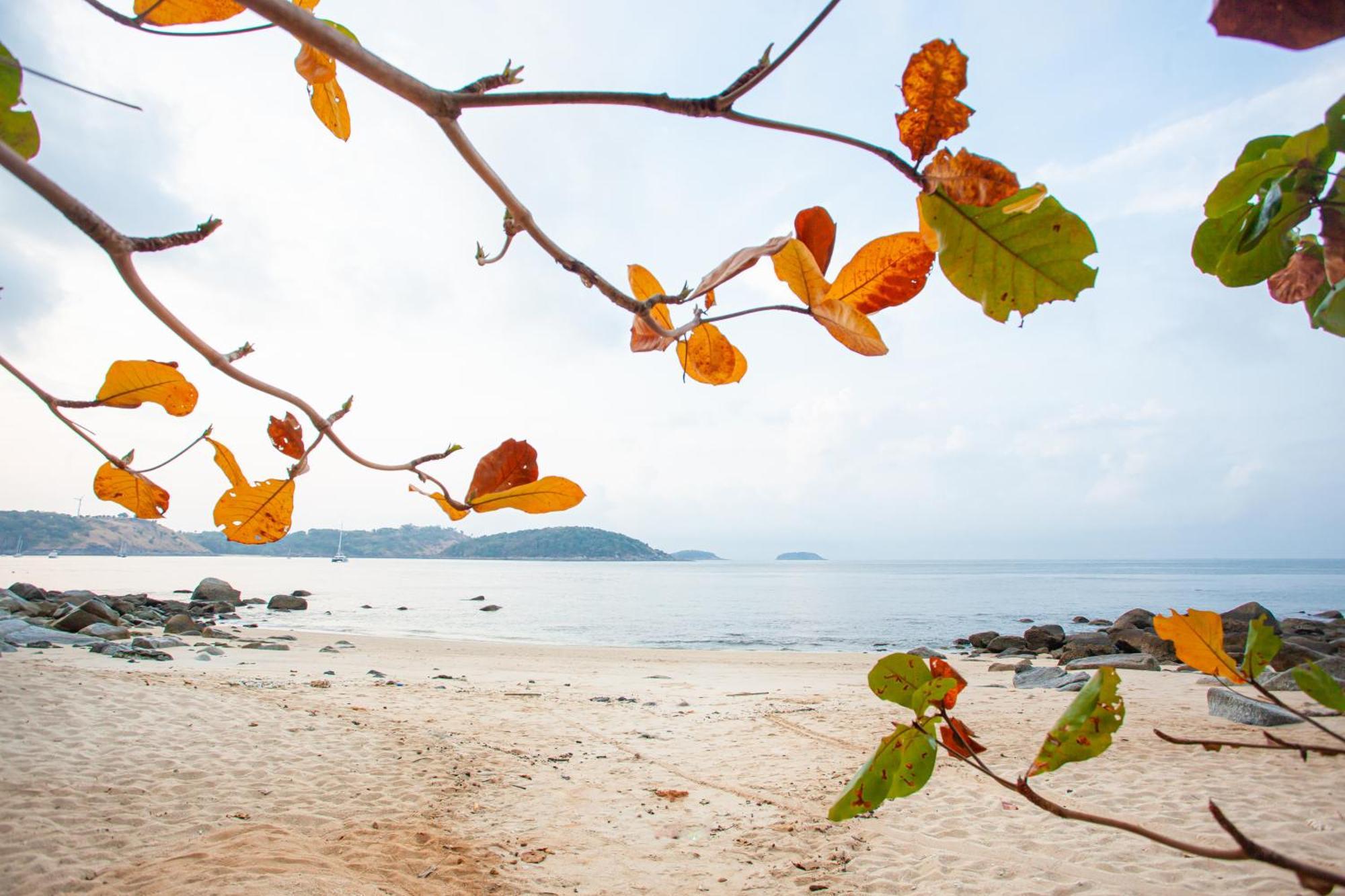Baan Krating Phuket Resort -Sha Plus Nai Harn Екстер'єр фото